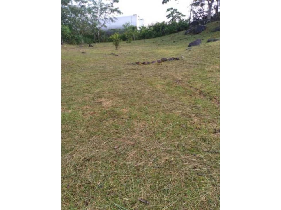 VENDO TERRENO EN ARRAIJAN NUEVO EMPERADOR 1000MTS - 1