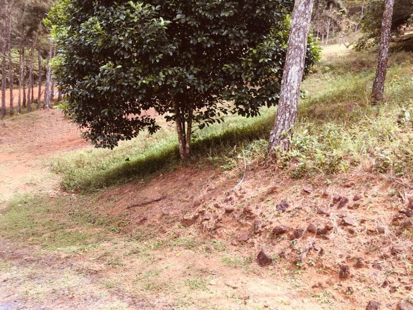 Terreno en Venta Chilibre Centro RAH PA: 20-5890 - 1