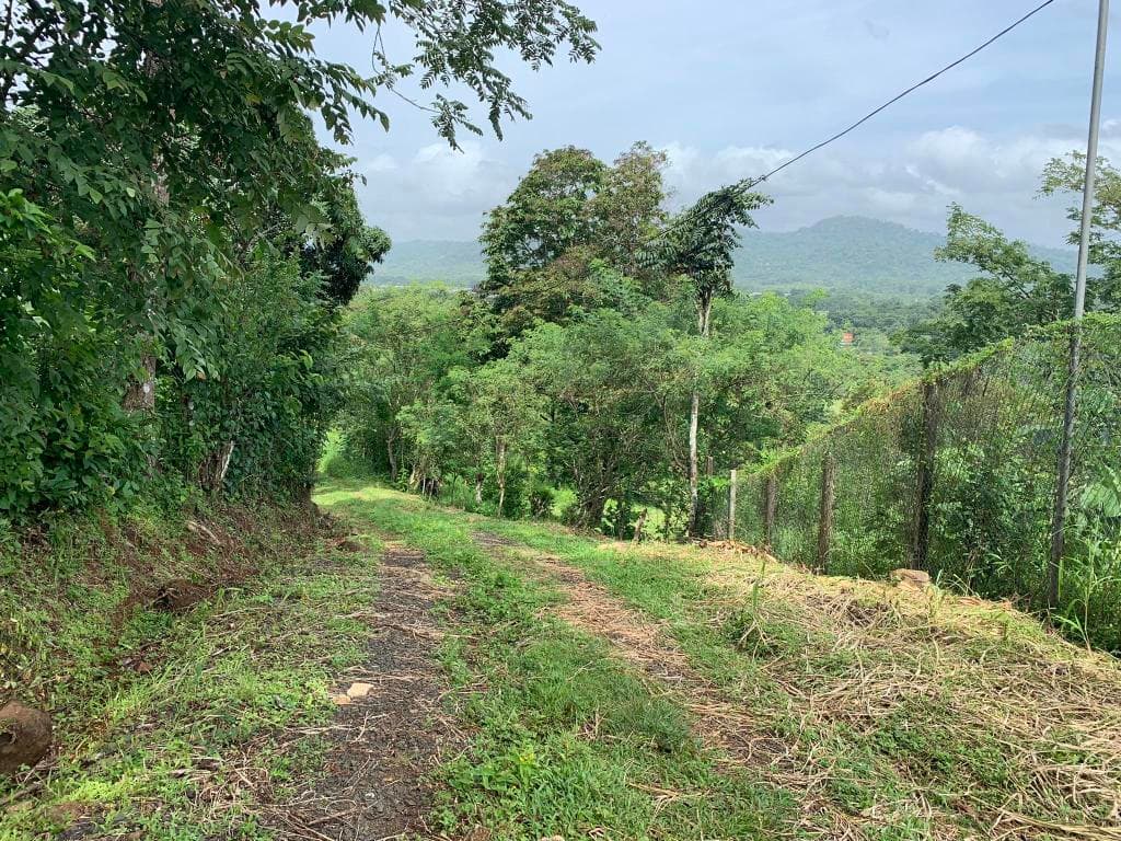Terreno en Venta Maria Eugenia RAH PA: 20-3096 - 1