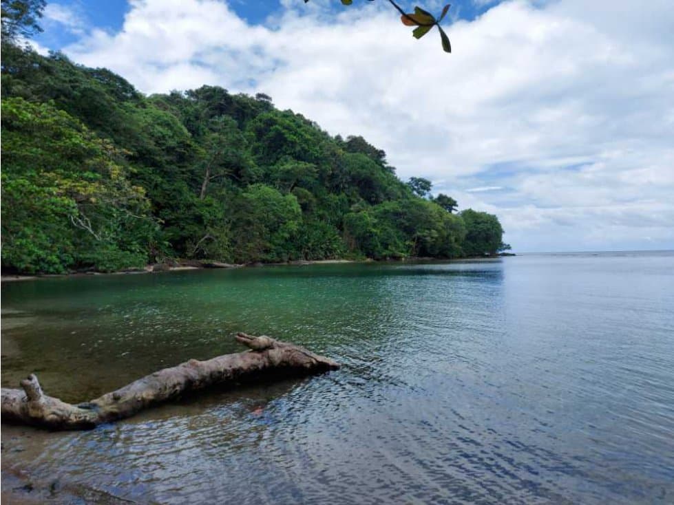 Sea Confiable Vende 1 Hectárea + 368.29 mts² Portobelo Isla León - 1
